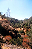 pinnacles-07.JPG