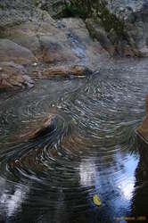 Froth swirls