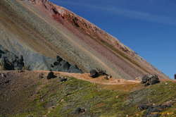 Pretty colours
