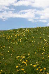 Happy Spring