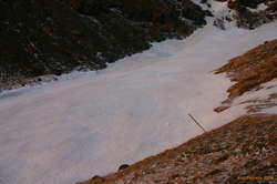 Spot the ptarmigan