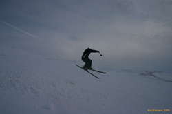 Steinar