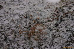 It's not spring!