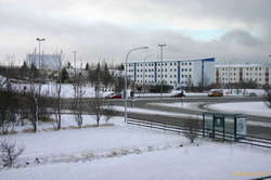 Snowland?