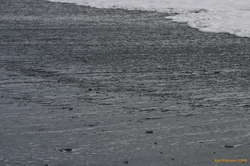 Backwash zone