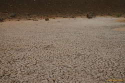 Little baby mudflat