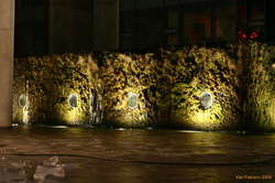 Mossy submarine