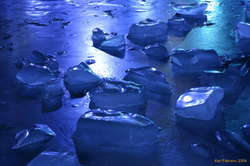 Chilly cubes