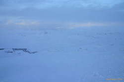 View from the top
