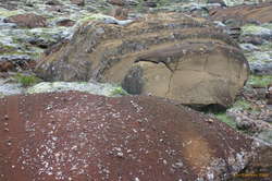 Rocks