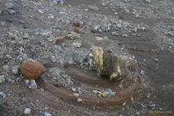 Odd swirl of rock