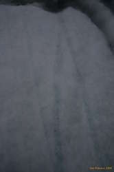 Patterns in the ice