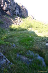 Mountain pond