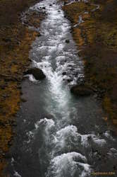 The stream