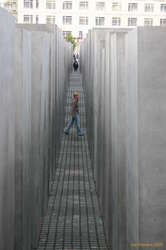 People in the  maze