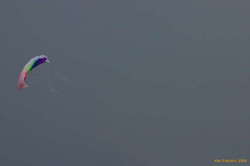 Normal kites too