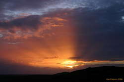 Sunbeams at sunset