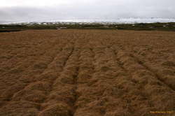 Meltwater runoff patterns
