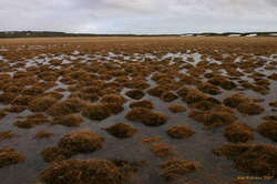 Meltwater still running off
