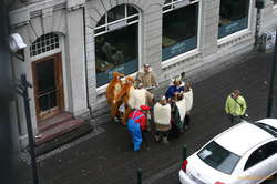 Kangaroos, vikings and mario for schoolies
