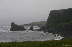 Sea stacks in Hrollaugsvík
