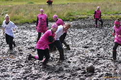 Swamp ball

