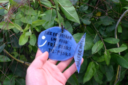Grammar fish!