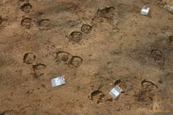 Horse people don't care about archaeology
