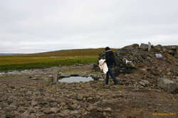 Old pool
