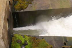 Thumping water
