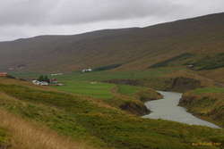 Returning to lush green lowlands

