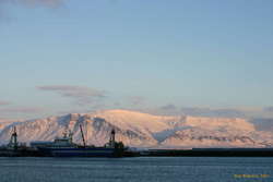 Snowy blue esja
