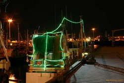 Christmas lights
