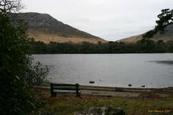 The pondering spot