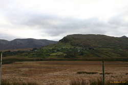Patchwork fields