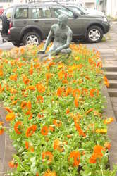 A flower boat in a sea of concrete
