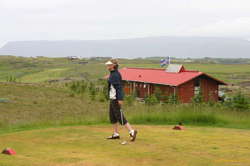 Lissy follows her ball

