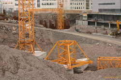 Crane farming
