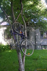 Bike storage?
