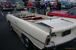 Swimming car
