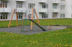 Dandelions in the playground
