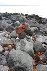 Foreign objects join the fray (a brick)
