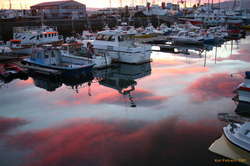 Sunset at the small boat harbour
