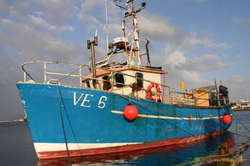 The little boat that could
