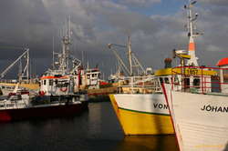The small boat harbour

