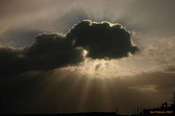 Sunbeams
