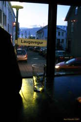 Looking out the window at Dillon
