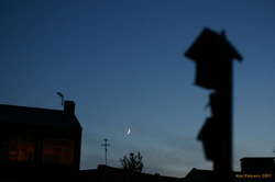 Venus and the Moon
