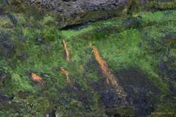 The water was pretty high in minerals
