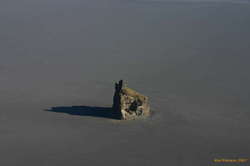 A solitary sentinal
